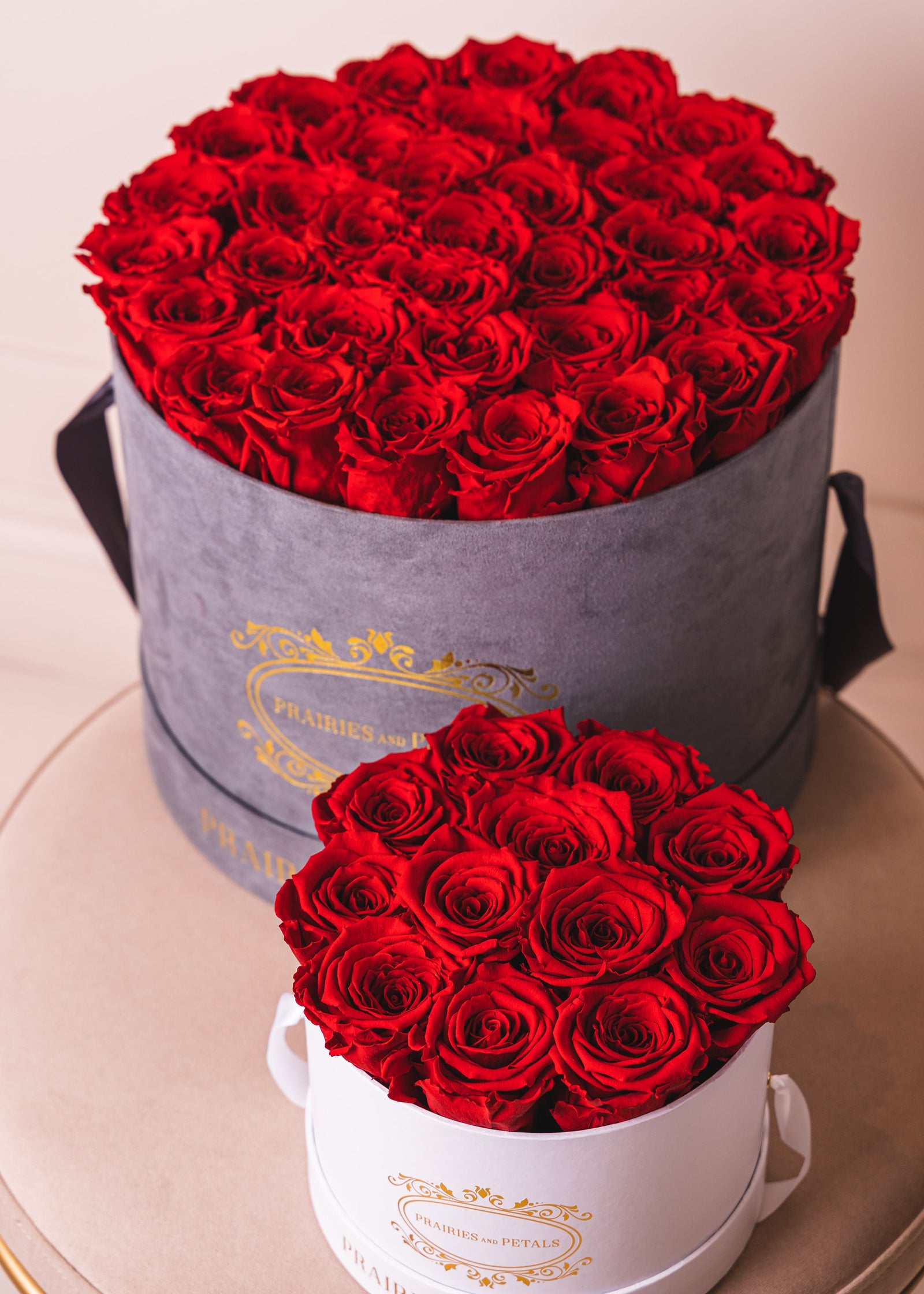 VALENTINE'S DAY GIFT GUIDE