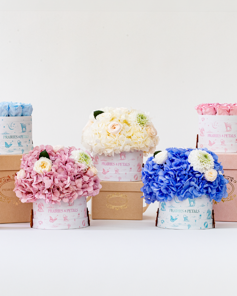 New Born Flower Gifts that Last a Year