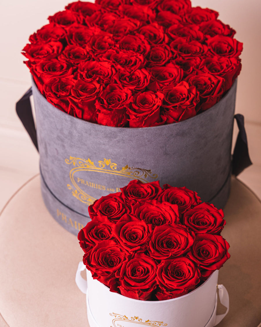 Valentine's Day Gift Guide