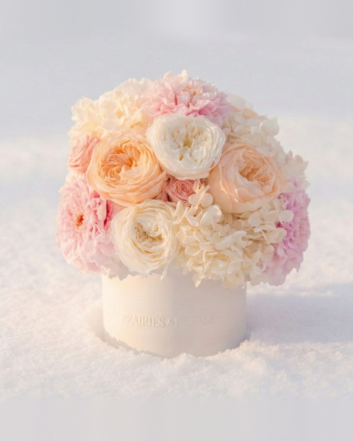 Winter Blush garden arrangement in soft blush and cream tones