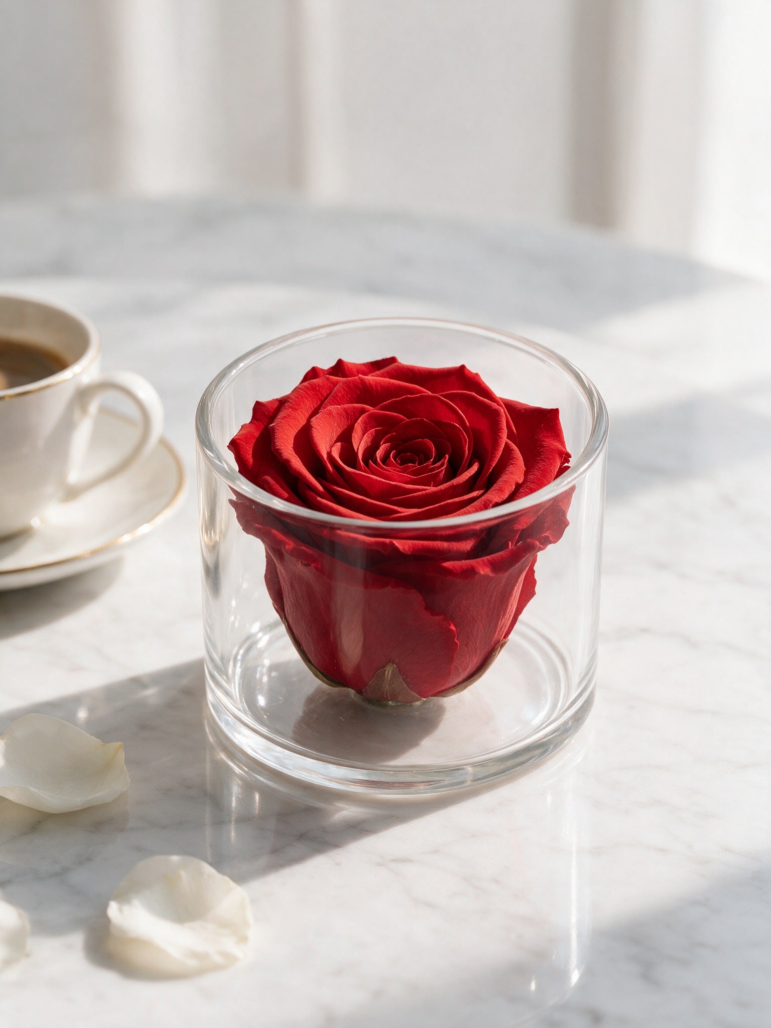 Red rose in clear glass, 1 Rose Clara by Prairies & Petals