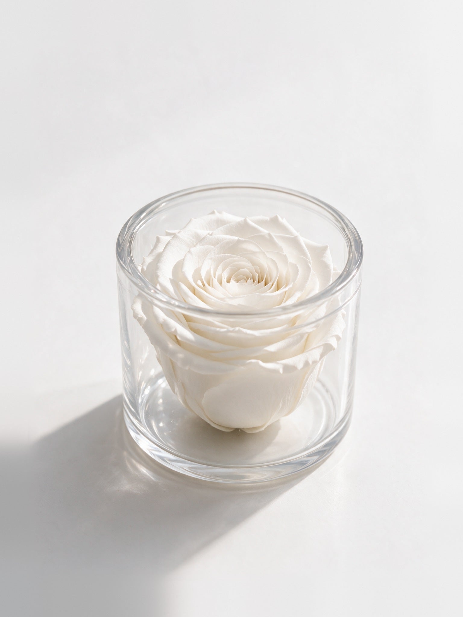 Red rose in clear glass, 1 Rose Clara by Prairies & Petals