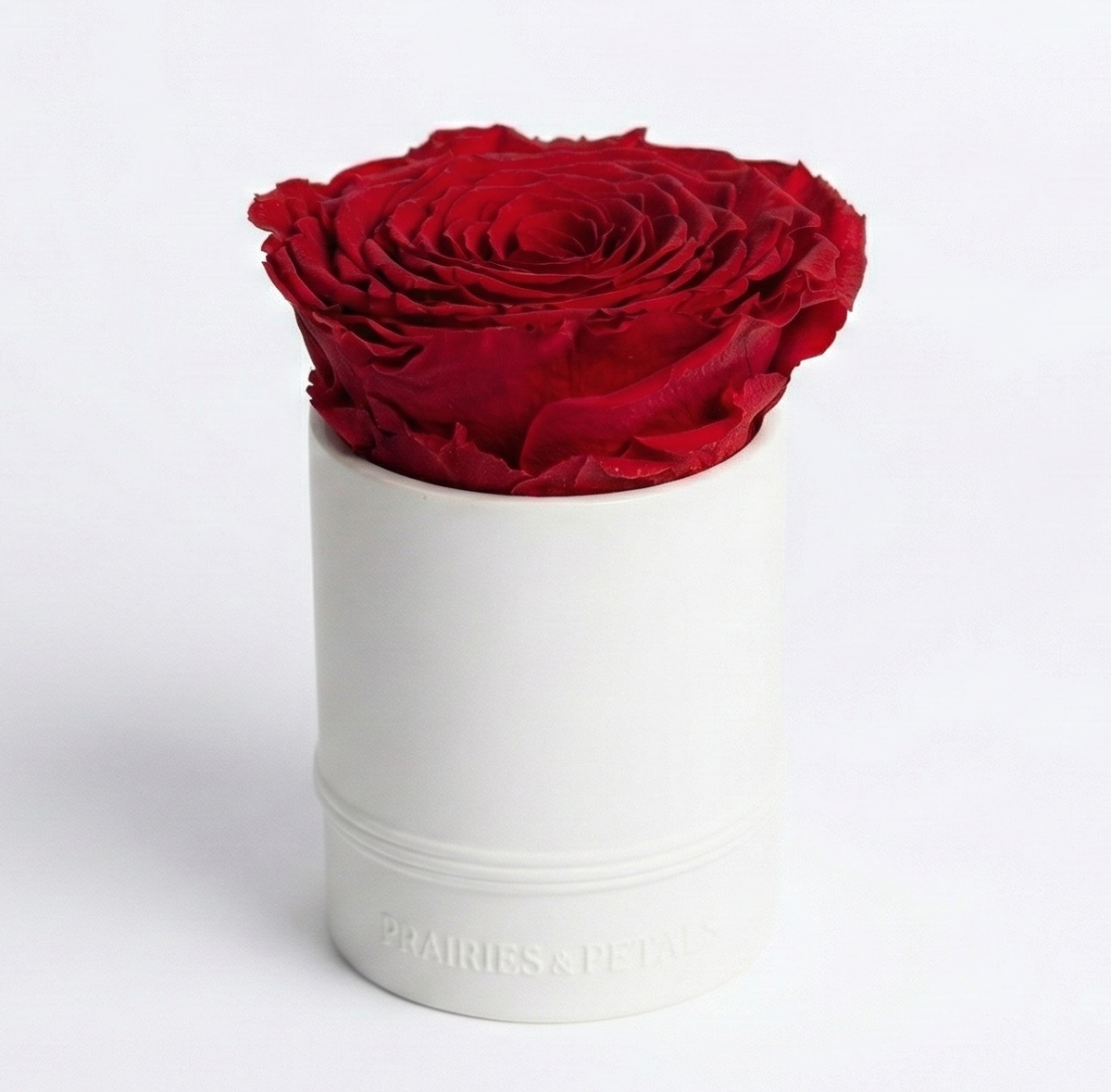 XL Ceramic Miniature