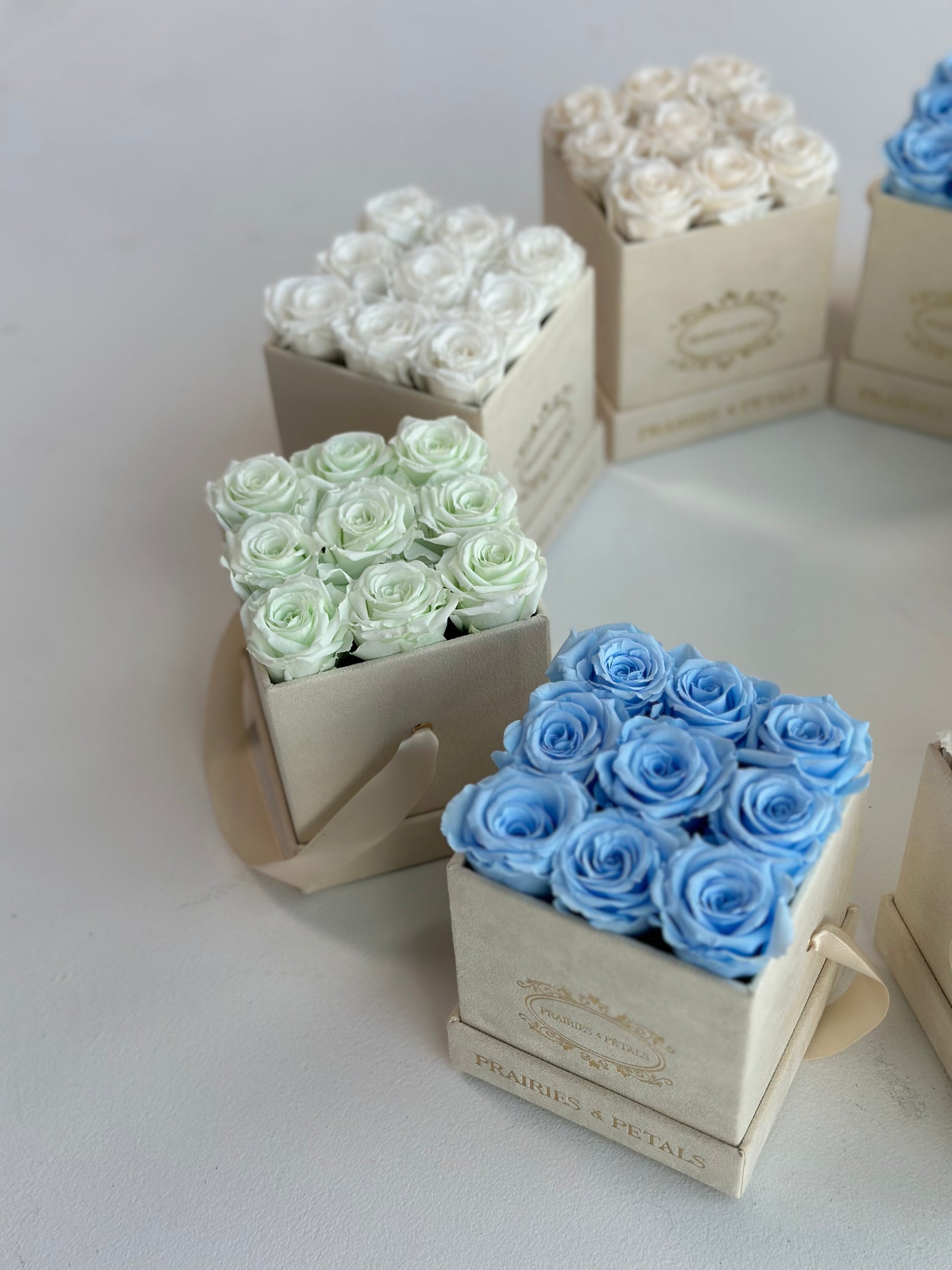 Petite Diora by Prairies & Petals