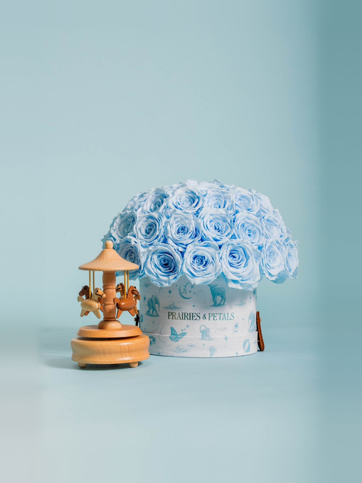 Baby Blue, Newborn Fiorella lifestyle