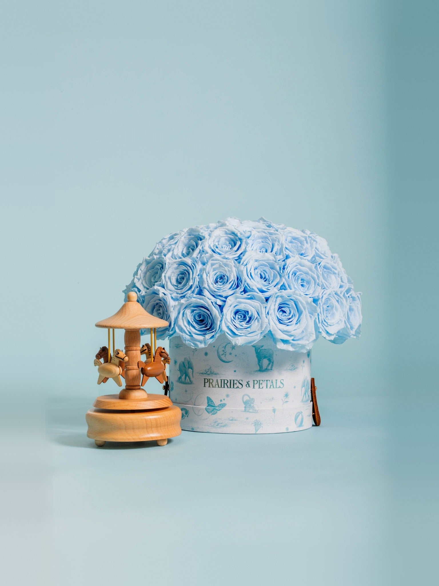 Baby Blue, Newborn Fiorella lifestyle