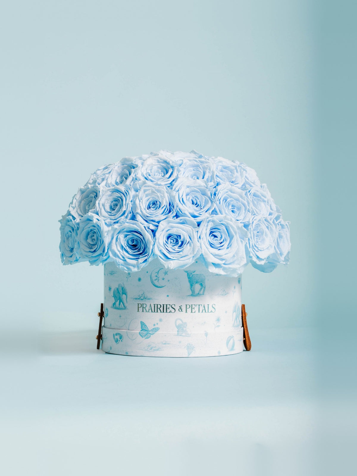 Baby Blue, Newborn Fiorella lifestyle