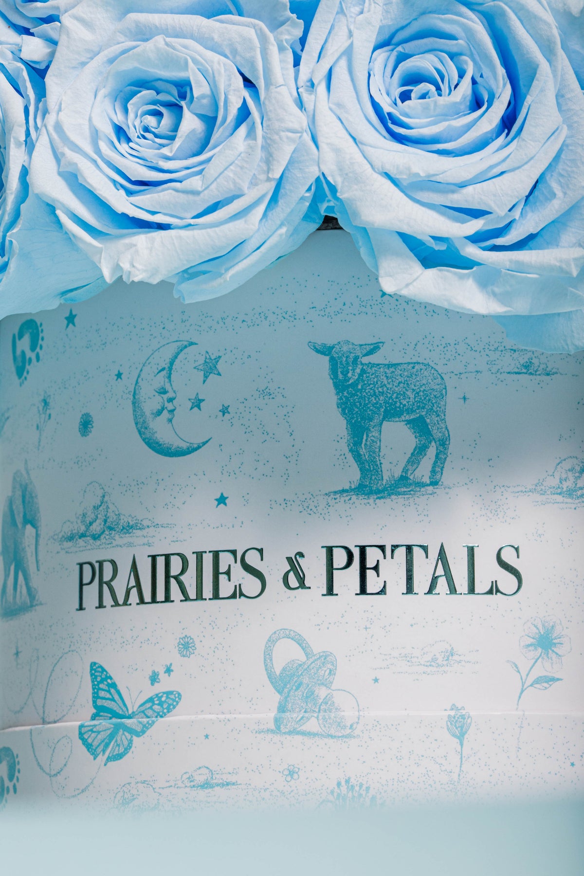 Baby Blue, Newborn Fiorella lifestyle