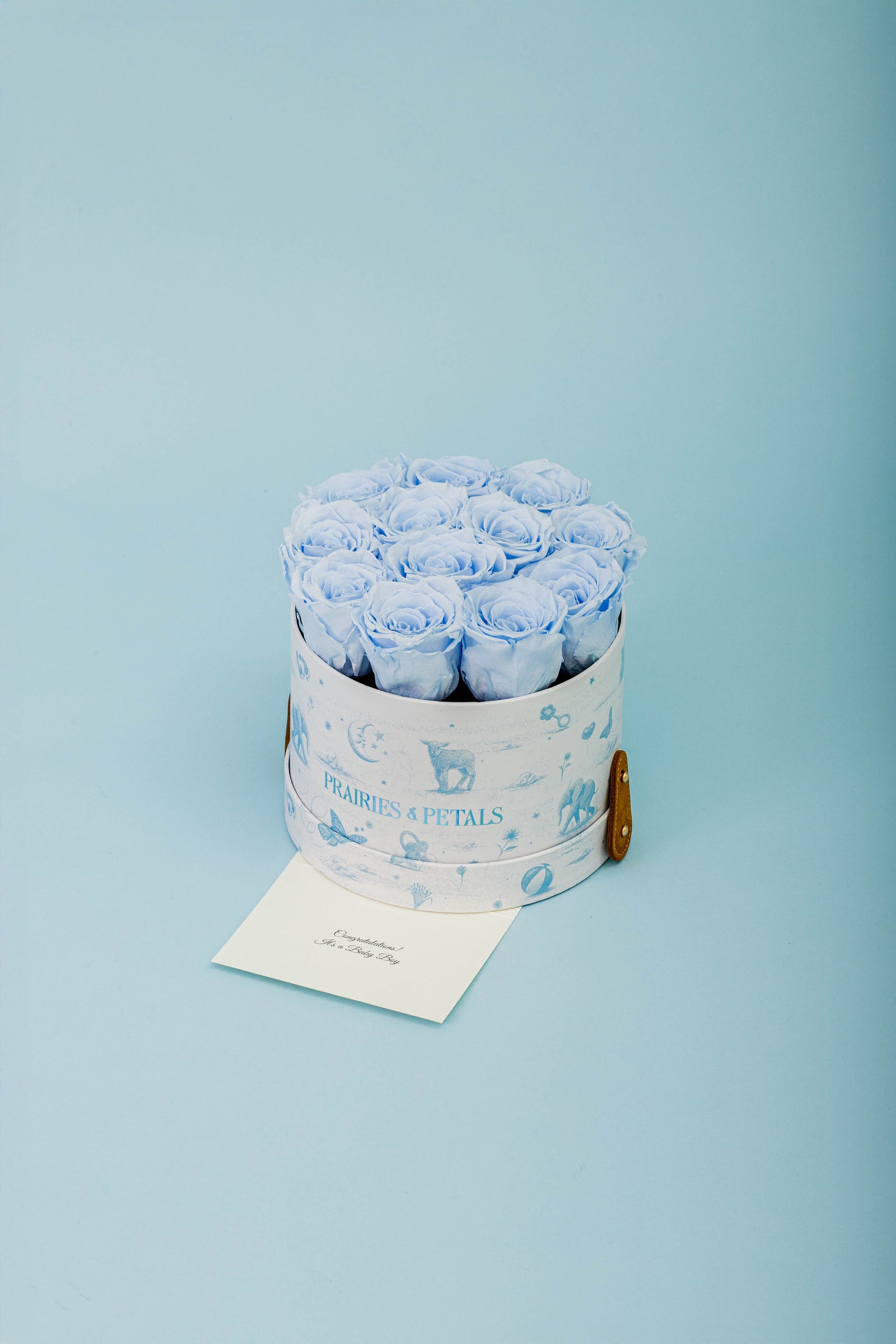 Baby Blue, Newborn Small Round lifestyle