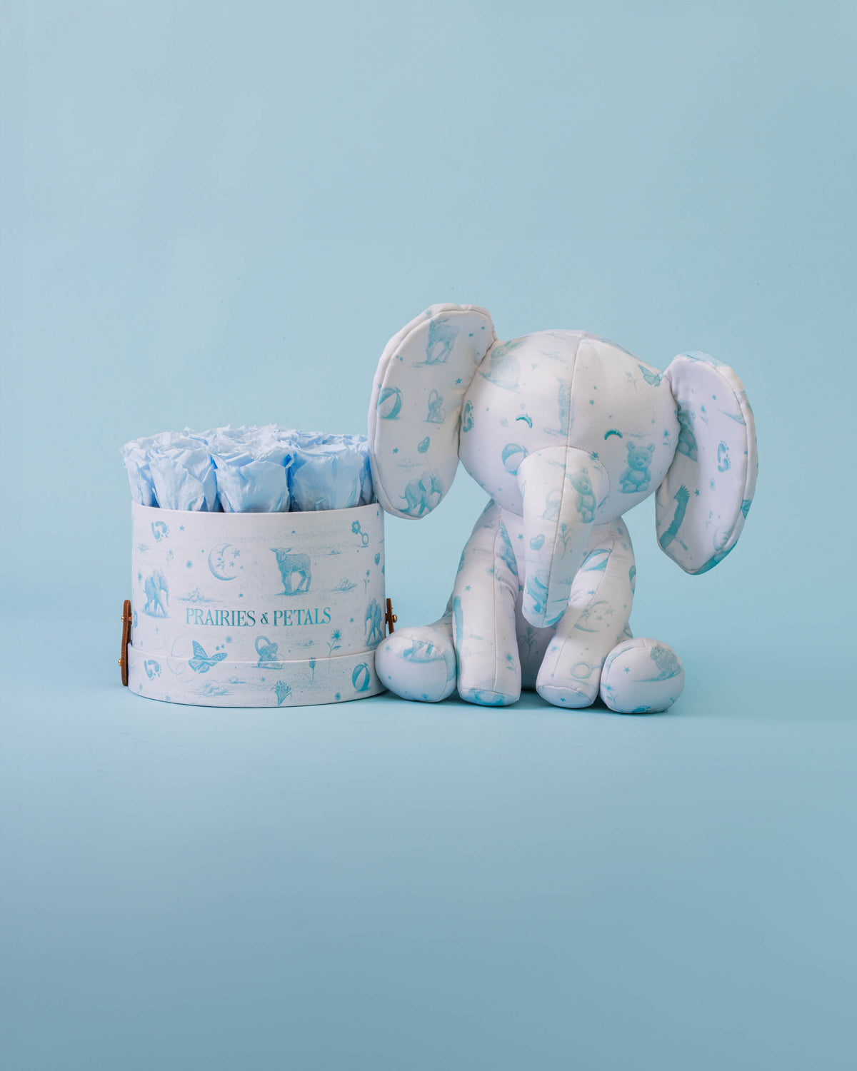 Baby Blue, Newborn Small Round lifestyle