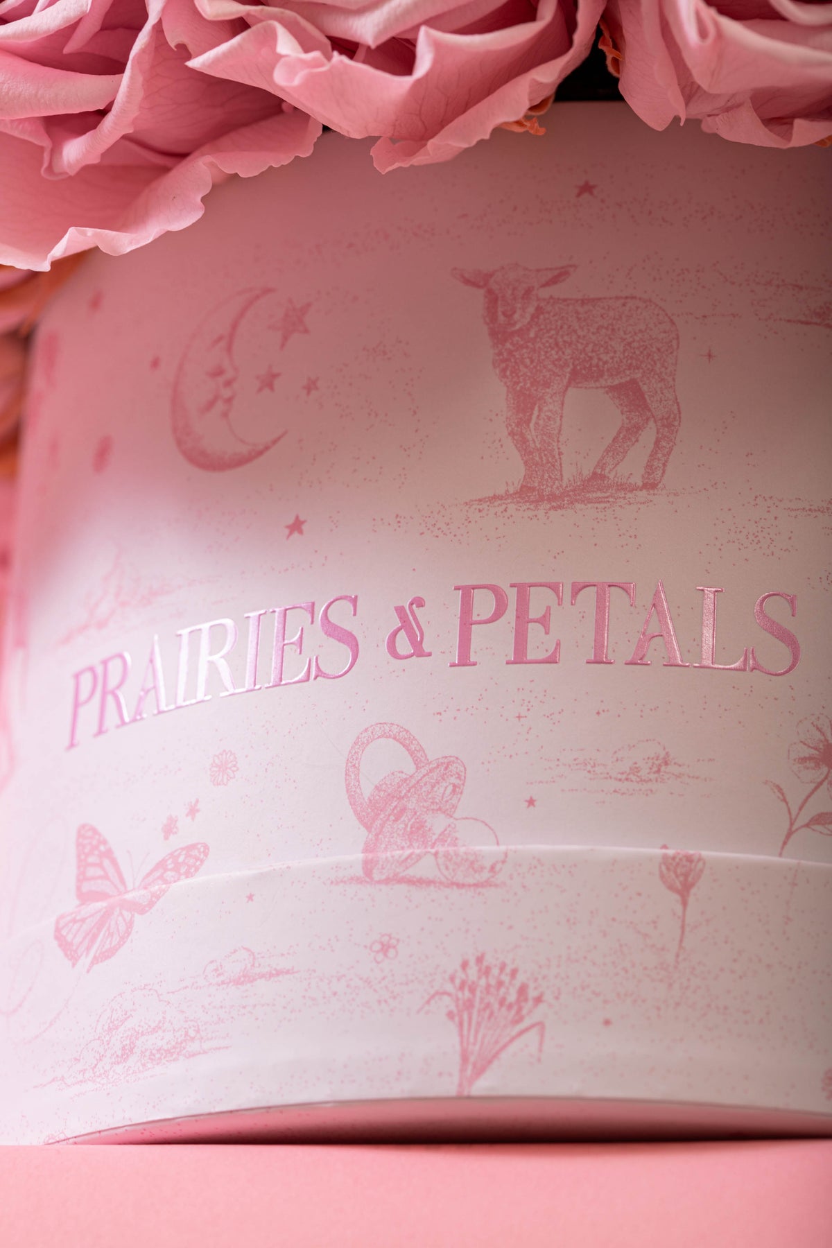 Pink, Newborn Fiorella lifestyle