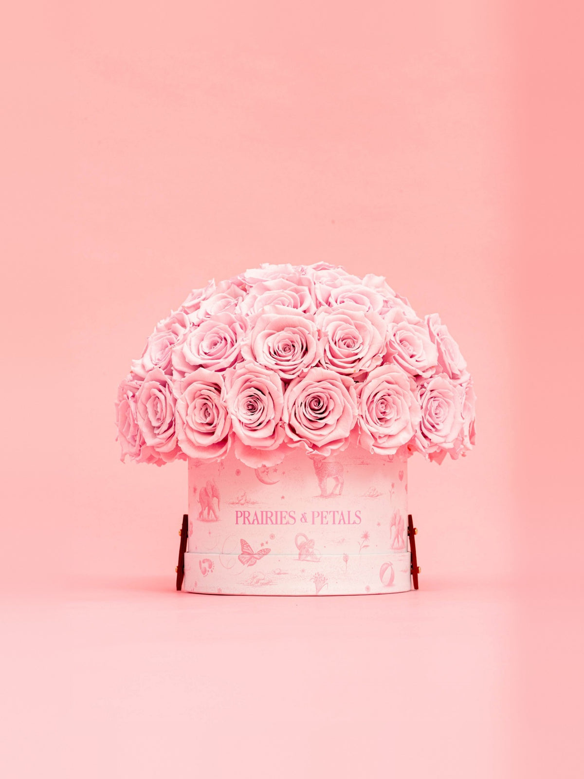 Pink, Newborn Fiorella lifestyle