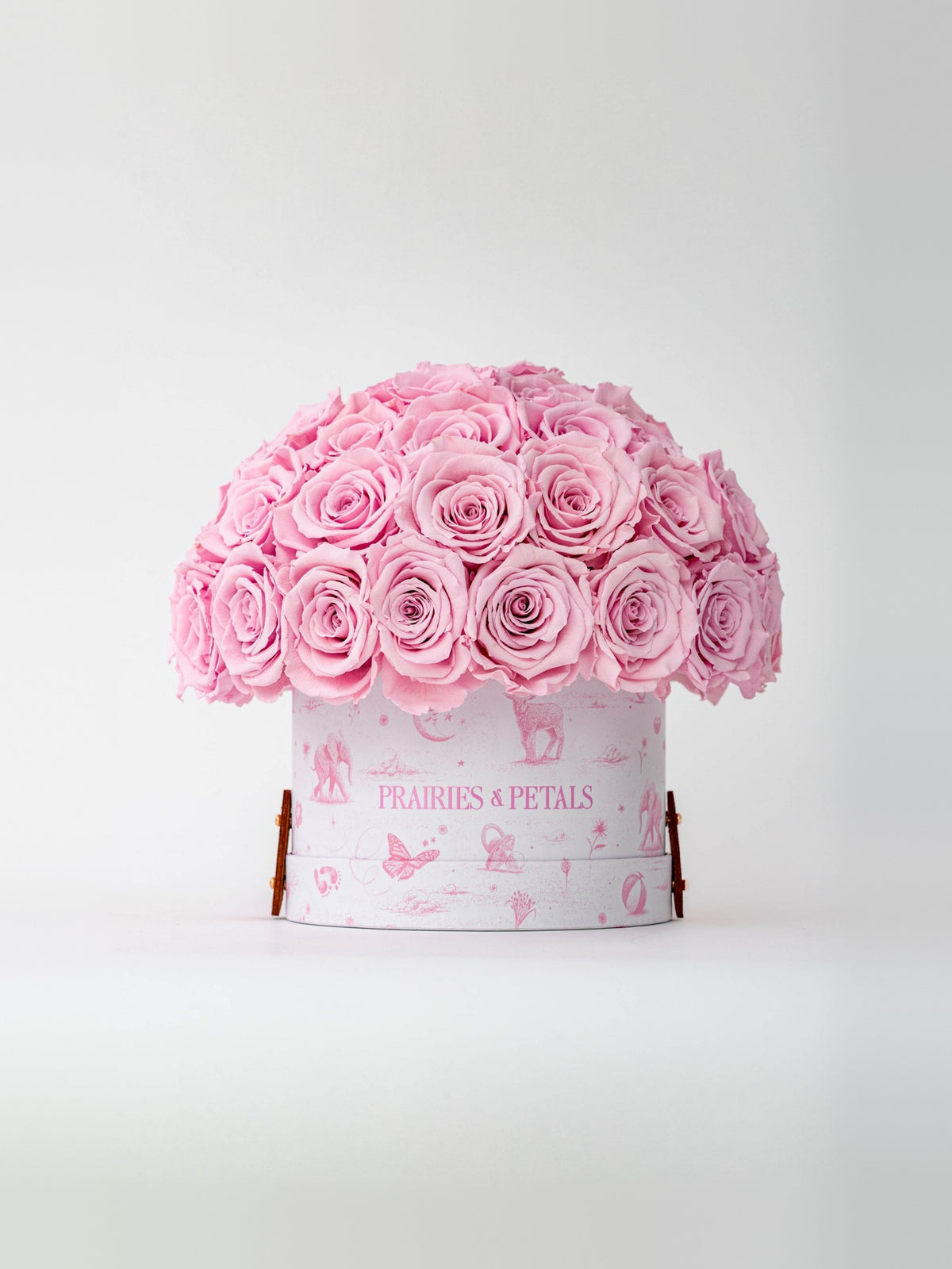 Pink, packshot, Newborn Fiorella