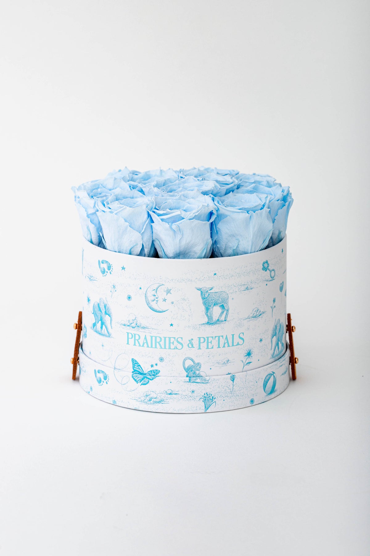Baby Blue, packshot, Newborn Small Round