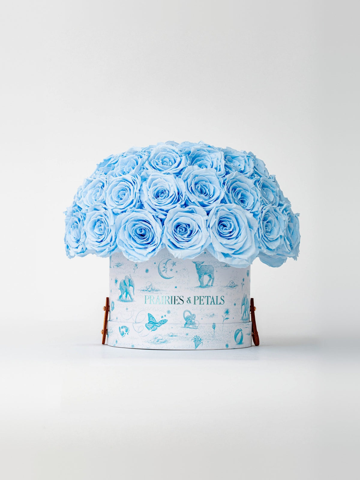 Baby Blue, packshot, Newborn Fiorella