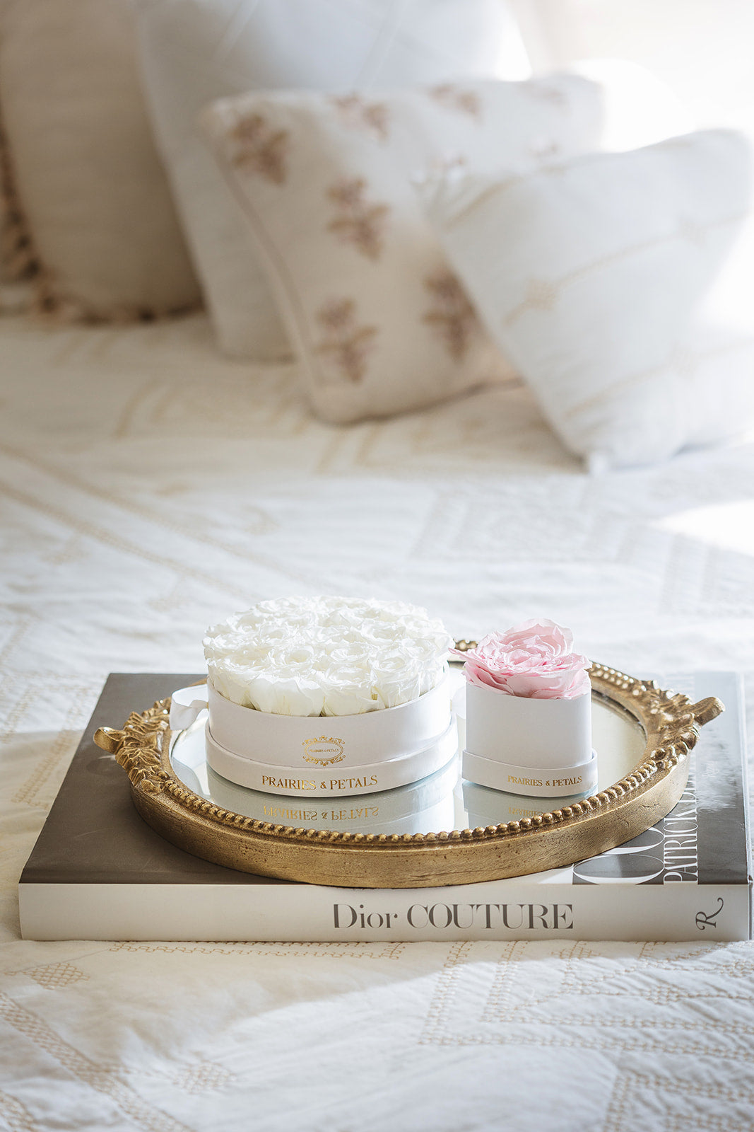 White roses, Petite Palais Collection by Prairies & Petals