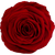 Be Mine / Red