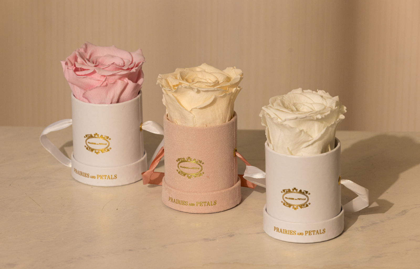 Miniature Collection by Prairies & Petals