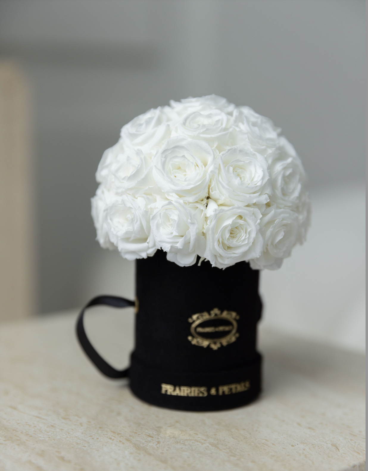 White roses, Miniature Fiorella by Prairies & Petals