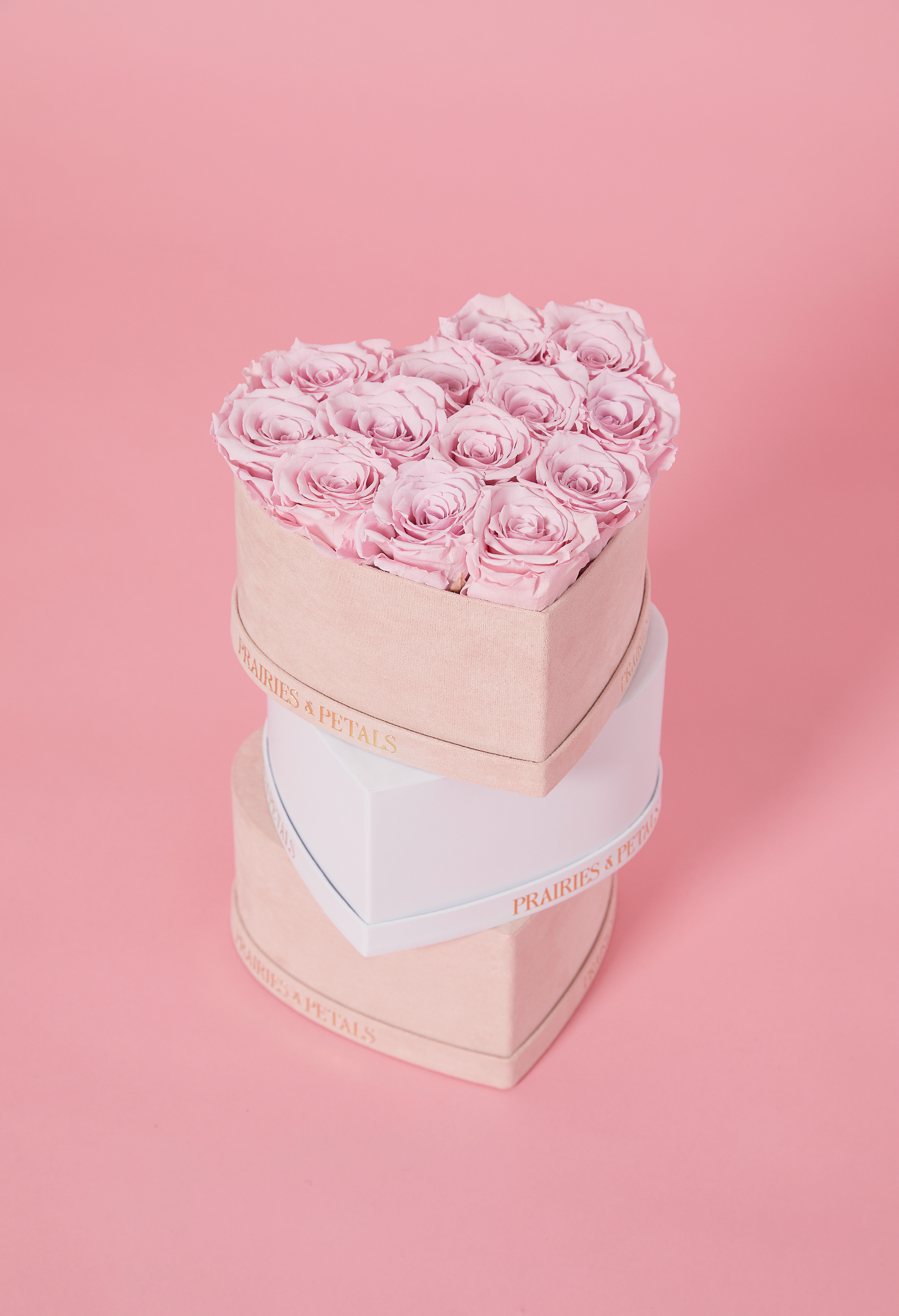 Pink roses, Mini Kardia by Prairies & Petals