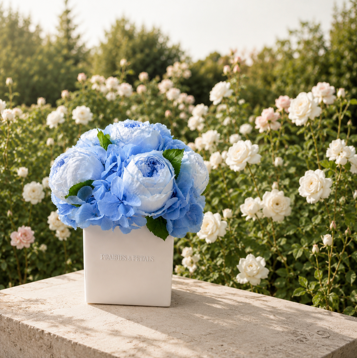 Le Ciél |  Peonies & Hydrangeas