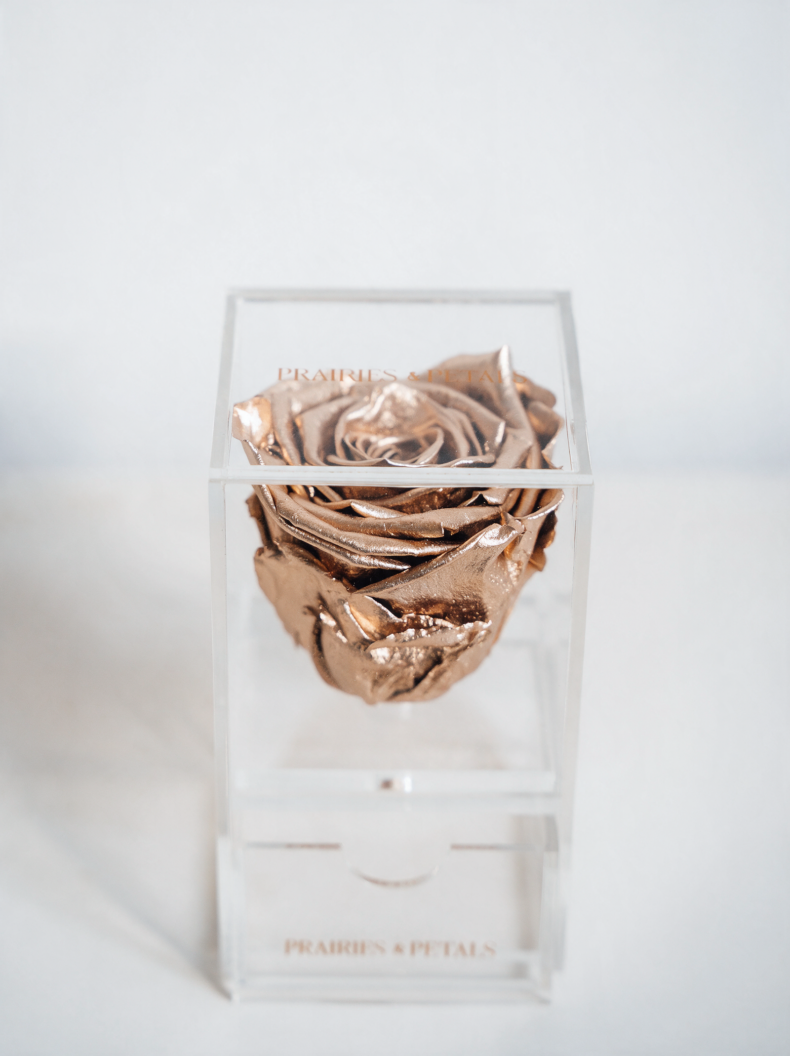 Gold roses, 1 Rose Clara with a Drawer by Prairies & Petals
