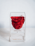 1 Rose Clara with a Drawer