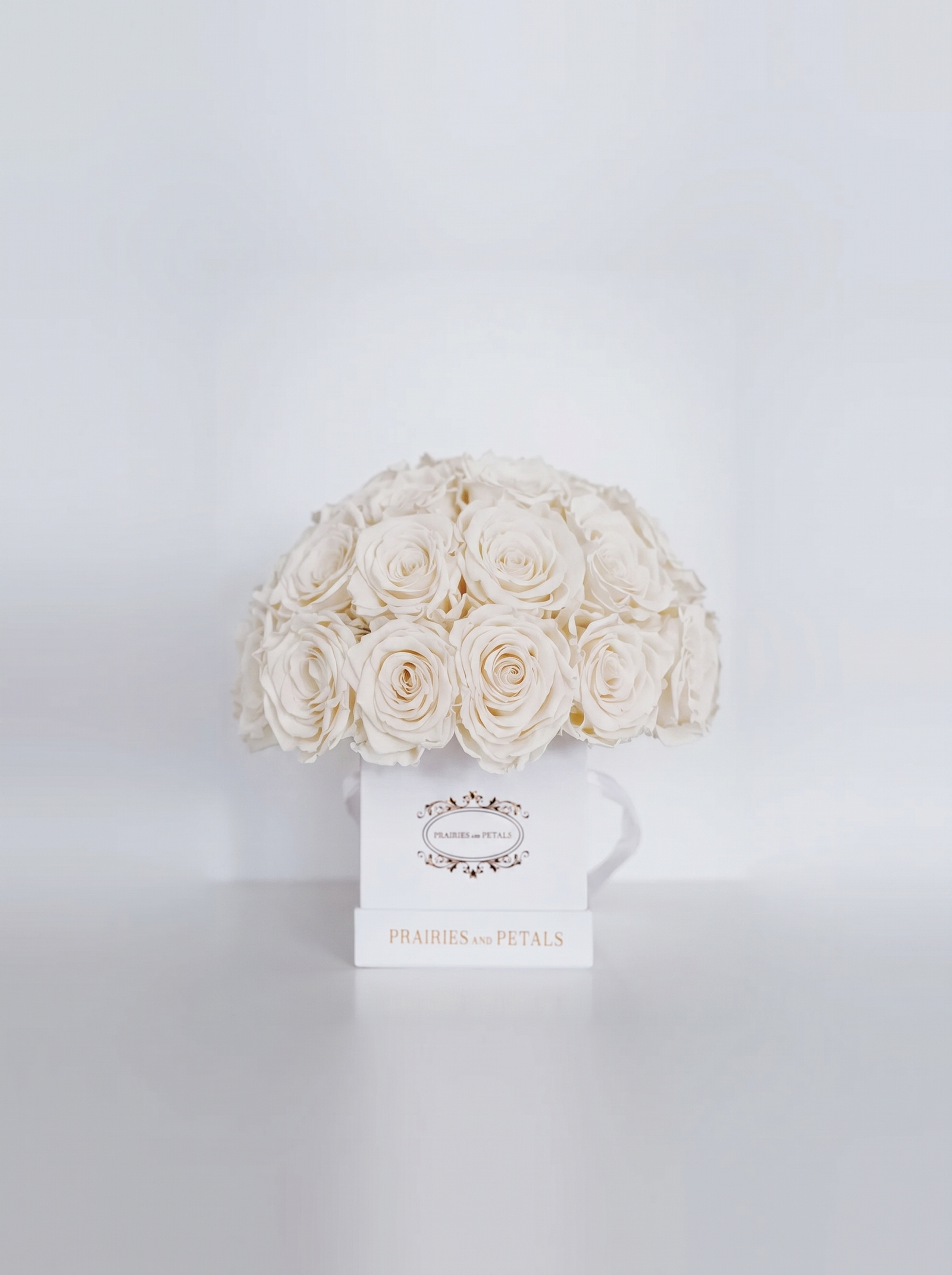 White roses, Luna by Prairies & Petals