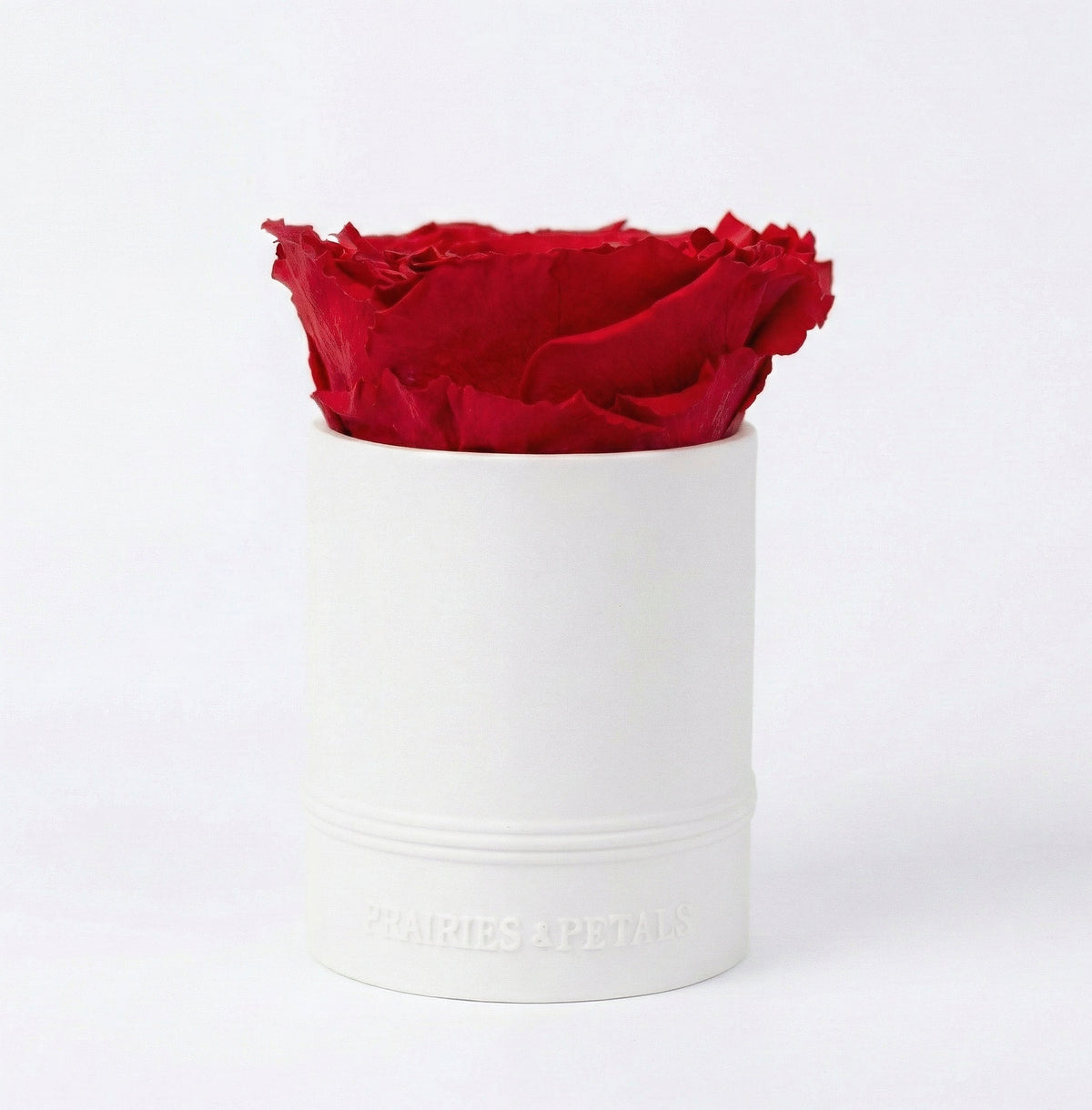 XL Ceramic Miniature