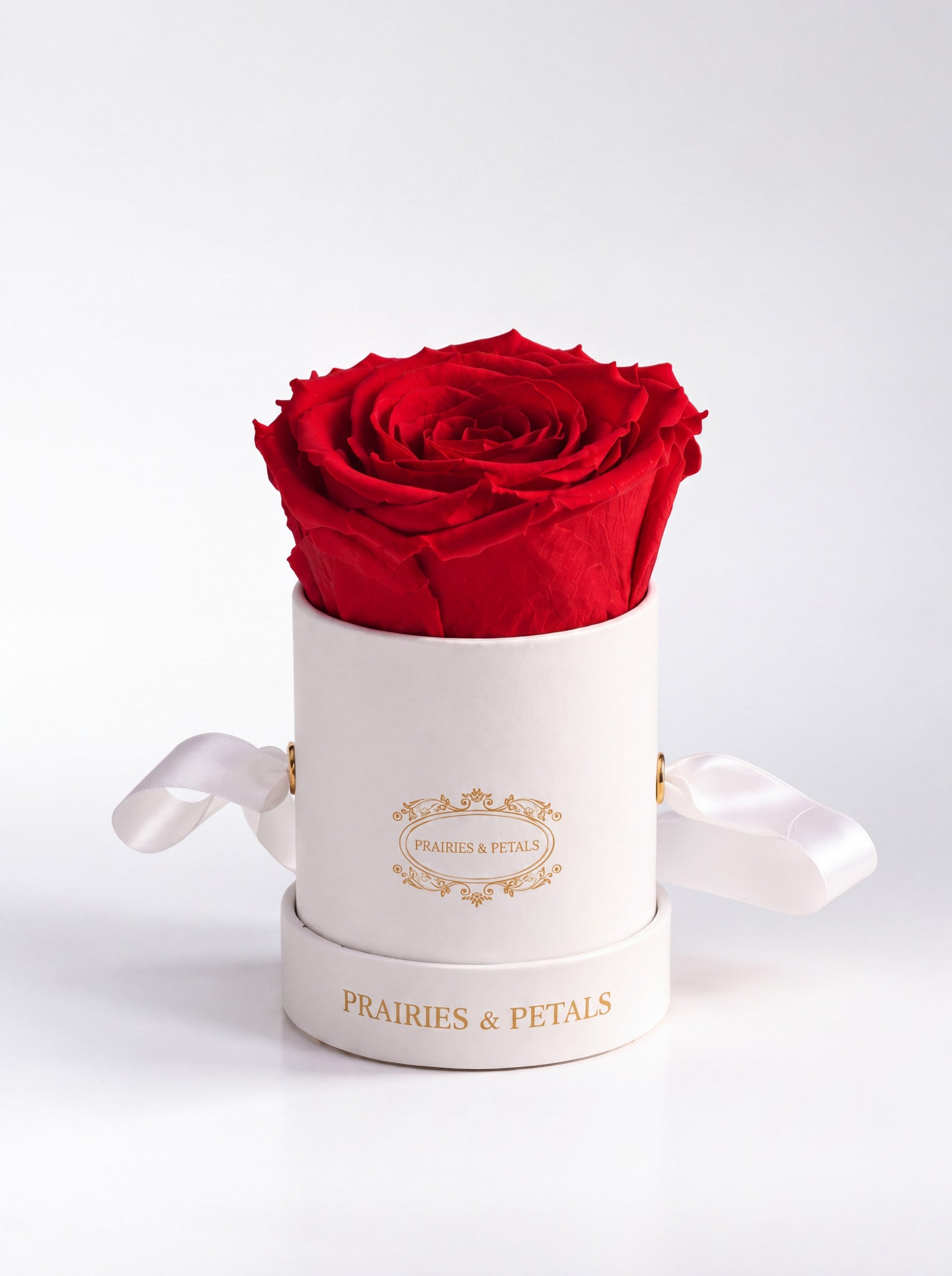 Prairies & Petals miniature arrangement, single red rose in a white hatbox with gold logo and satin ribbon