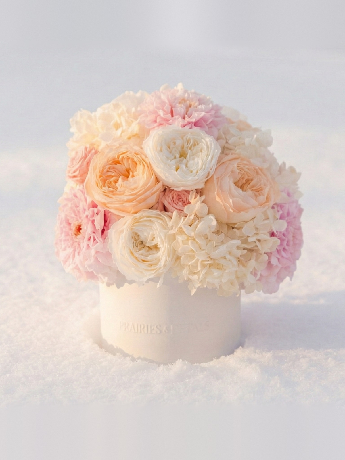Winter Blush