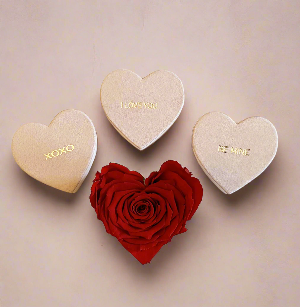 Petite Kardia with Lid Message