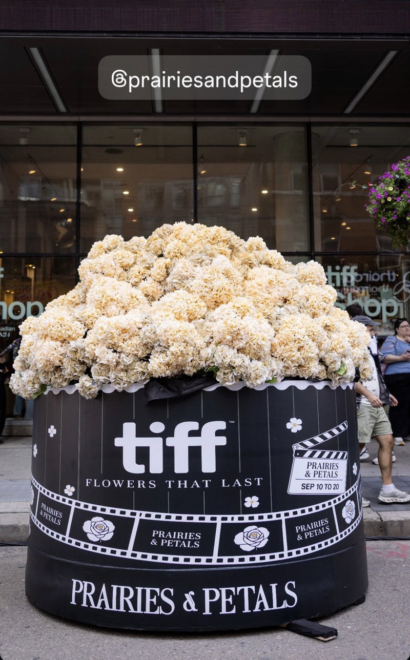 TIFF popcorn arrangement outside the TIFF Lightbox