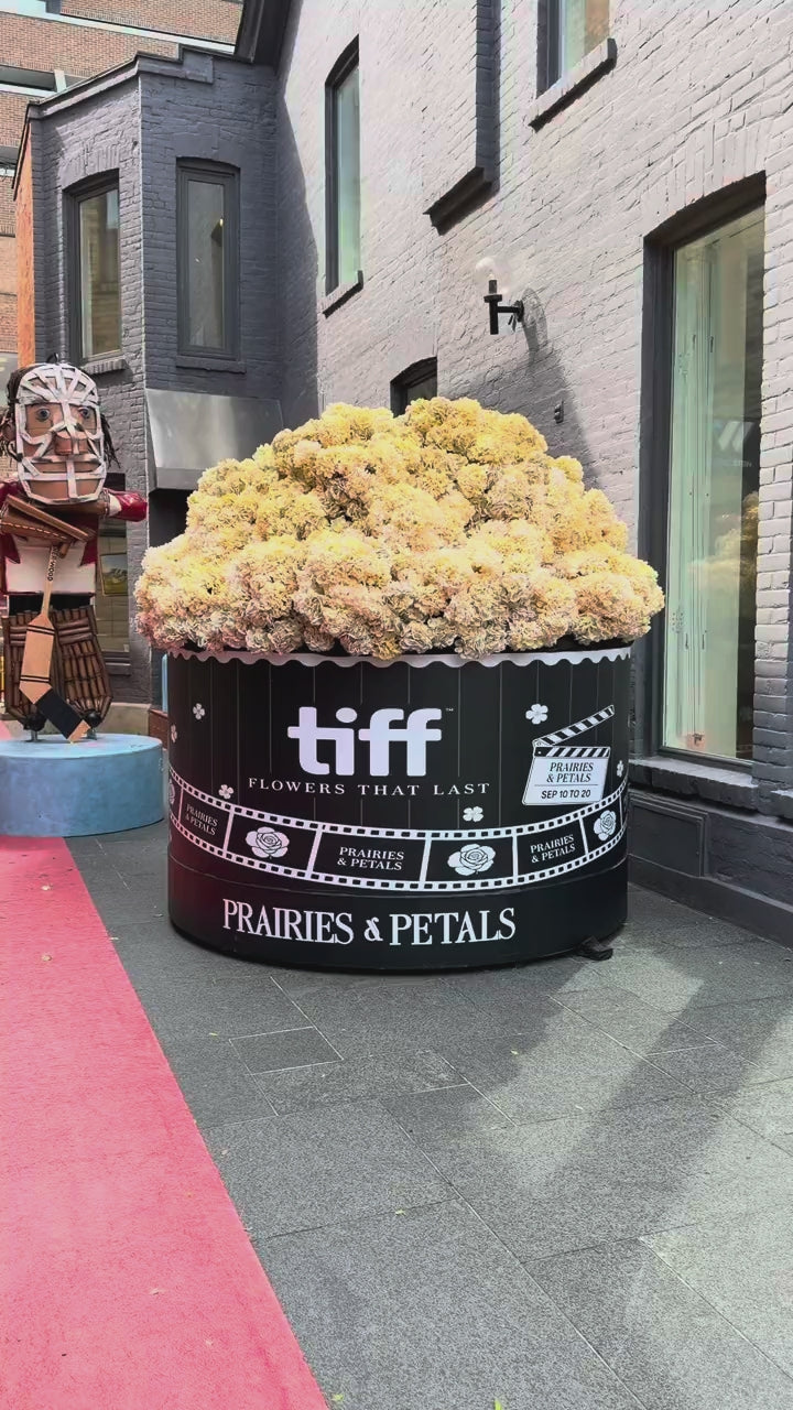 TIFF popcorn arrangement video
