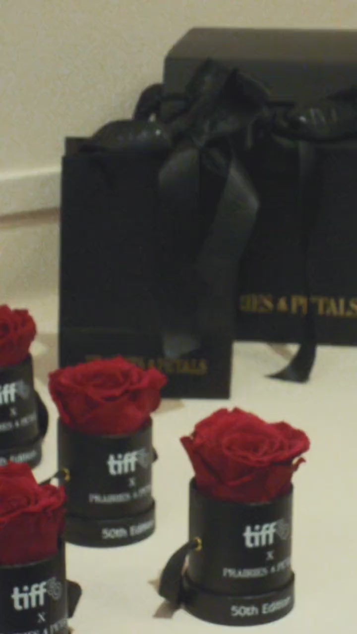 TIFF 50th Edition rose boxes video