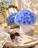 Splendor Collection