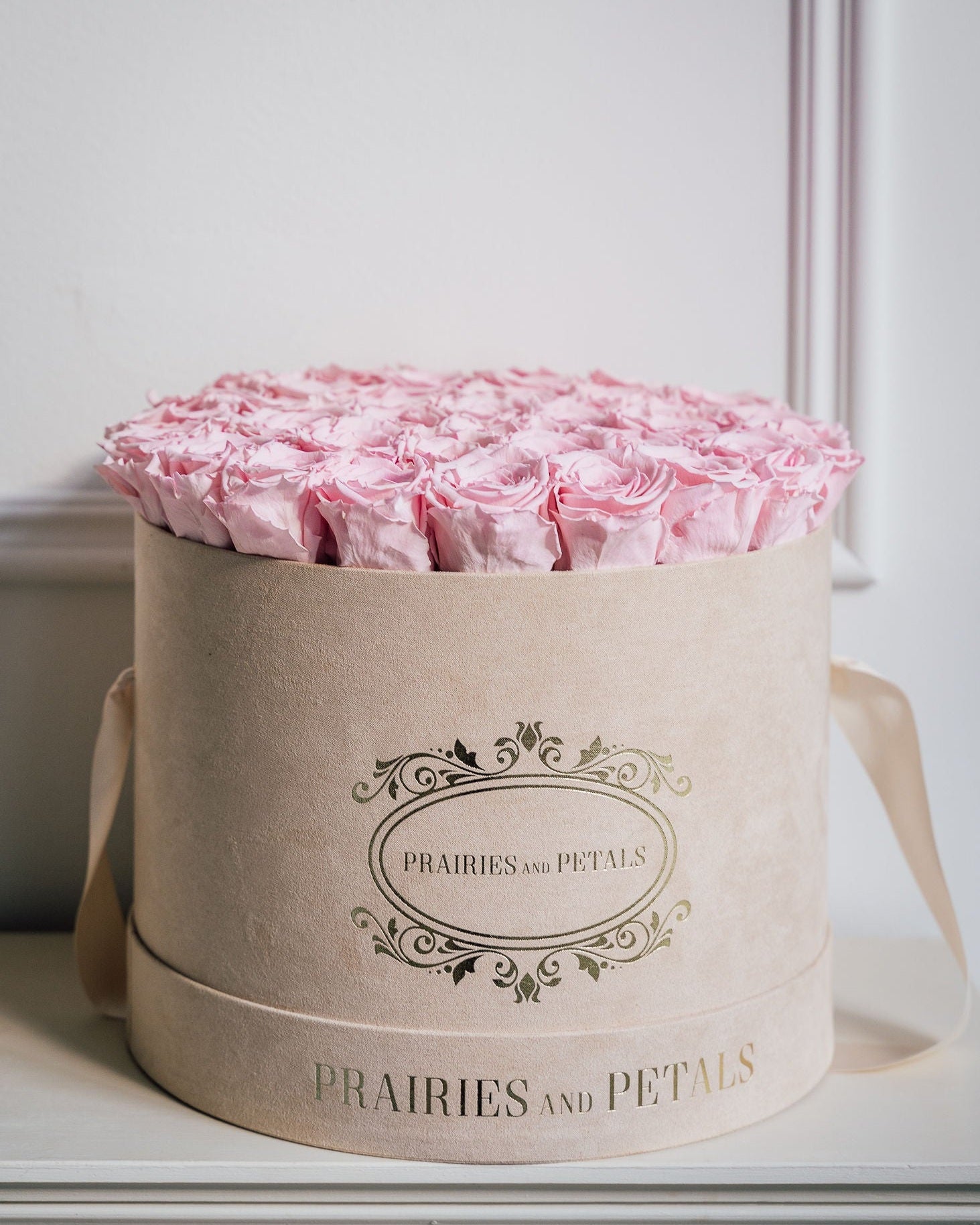 Pink roses, Large Round by Prairies & Petals