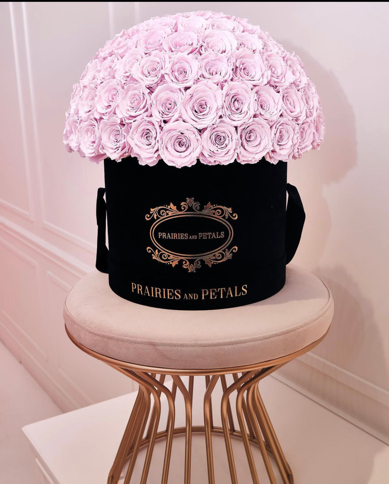 Pink roses, Grand Fiorella by Prairies & Petals