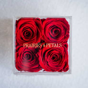 Red roses, 4 Rose Clara by Prairies & Petals